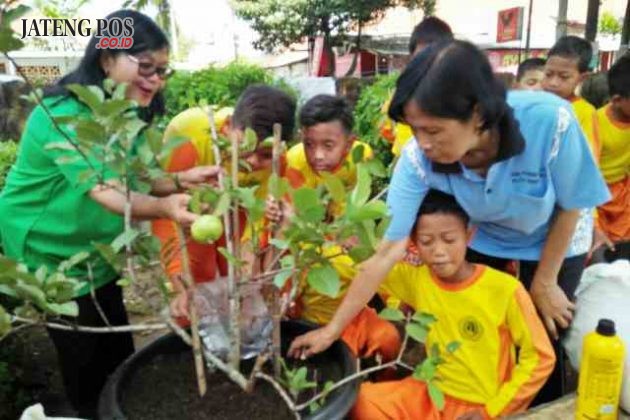 BERSERI: Kegiatan kami "Menuju Pleburan 04 Berseri-seri (Bersih,Sejuk,Rindang,sehat dan Ceria). Salam hijau.