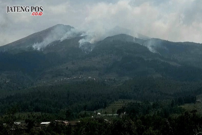 Kebakaran Merbabu Hanguskan 400 Hektare Lahan - Jateng Pos