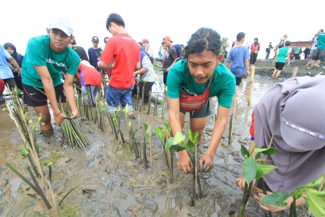 TANAM BIBIT : Terlihat sebagian generasi muda milenial antuasias menaman bibit mangrove di pesisir pantai Mangkang, Mangunharjo Semarang. Foto : DWI SAMBODO/JATENG POS.