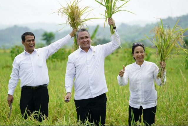 Selama 4 Tahun, Kementan Gelontori Subang Bantuan Pertanian Rp 527 Miliar