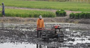 Terus Cetak Sawah Baru, Kementan Siap Beri Bantuan Cianjur