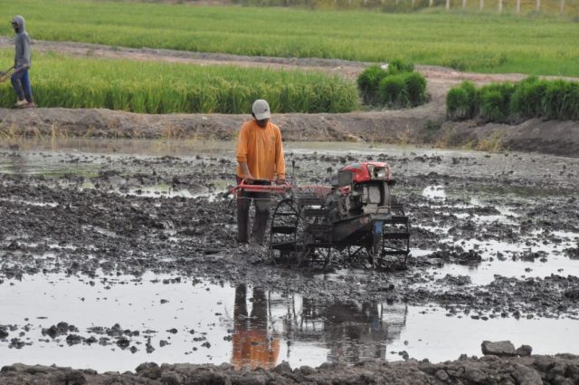 Terus Cetak Sawah Baru, Kementan Siap Beri Bantuan Cianjur