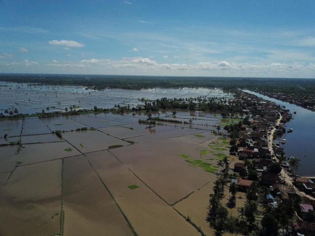 Lahan Sawah Terdampak Banjir di Tuban Tercover Asuransi