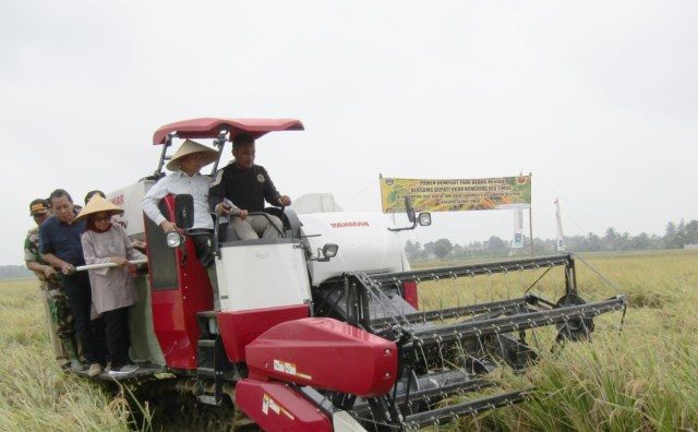 Petani OKU Timur Panen Perdana Padi Sehat Bebas Residu