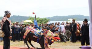 Meriah! Atraksi 300 Kuda Renggong Kolosal di Hardfest#3 Pesona Jatigede