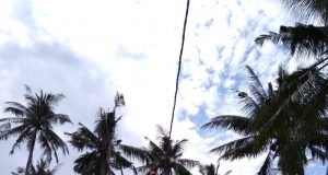 BENAHI LISTRIK- Seorang petugas PLN tengan membenahi sambungan listrik di Kepulauan Karimunjawa.