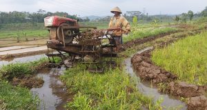 Bupati Situbondo Lindungi Lahan Pertanian dan Sejahterakan Petani