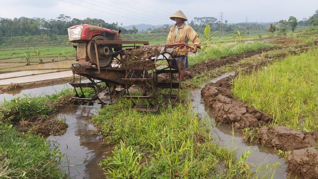 Bupati Situbondo Lindungi Lahan Pertanian dan Sejahterakan Petani