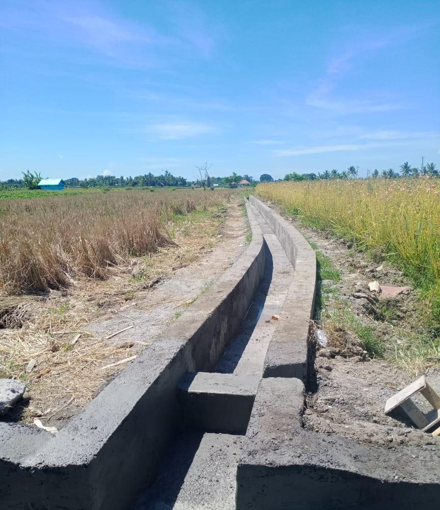 Rehabilitasi Jaringan Irigasi Di Badung Untuk Meningkatkan Ip Jateng Pos 8260