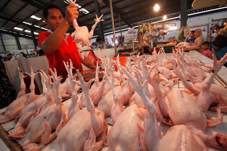 Pasca Lebaran, Harga Daging di Temanggung Masih Bertahan Tinggi