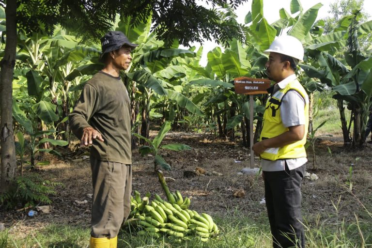 SIG Manfaatkan Lahan Pascatambang Tanah  Liat  di Tuban 