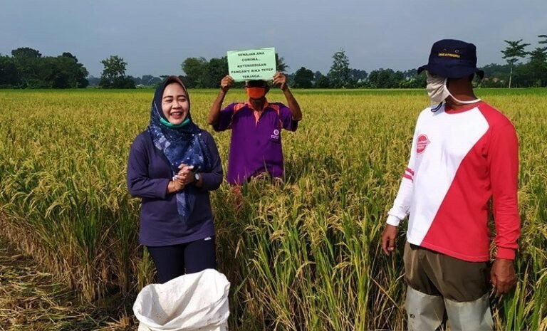 Pemkab Purbalingga Intensifkan Program Regenerasi Petani