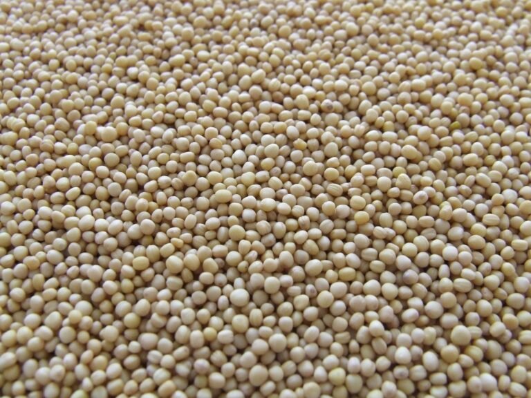 Harga Kedelai Impor di Kudus Naik Lagi Jadi Rp9.750 per Kilogram