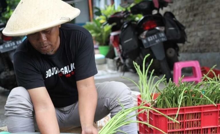 Petani Asparagus Temanggung Jajaki Ekspor ke Singapura