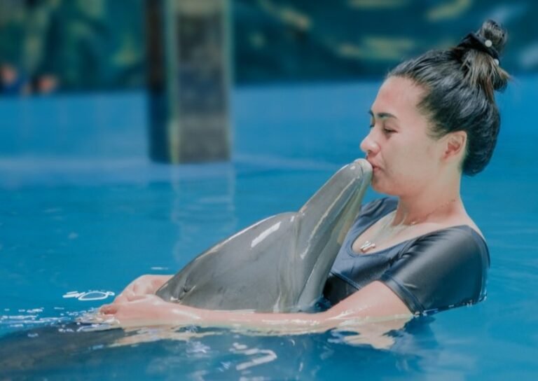 Paket Inap dan Wisata The Dolphin Experience