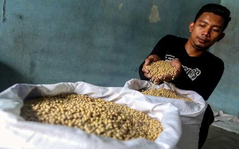 Harga Kedelai Impor di Kudus Naik Lagi, Sekarang Tembus Rp9.800/Kg
