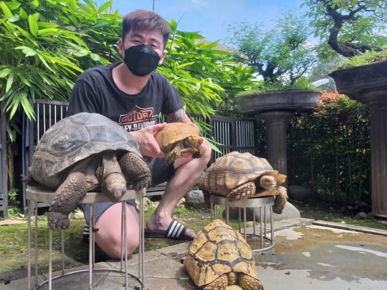 Merawat Binatang Peliharaan dengan Hati