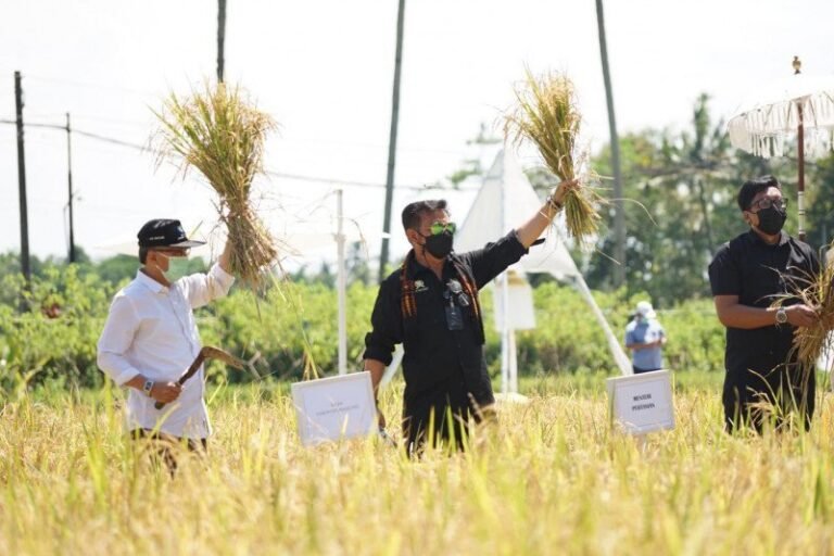 Mentan Dorong Pengembangan Agrowisata Buah di Berbagai Daerah