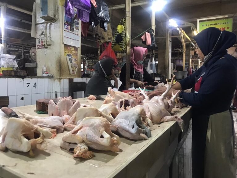 Jelang Lebaran, Harga Daging Ayam di Solo Naik Rp2.000/Kg