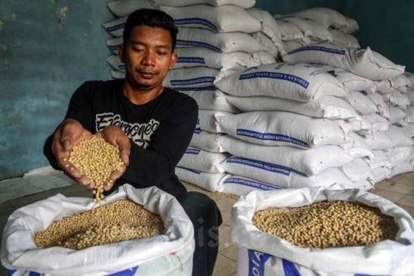 Rendahnya Permintaan Kedelai Impor di Kudus Meski Harga Turun