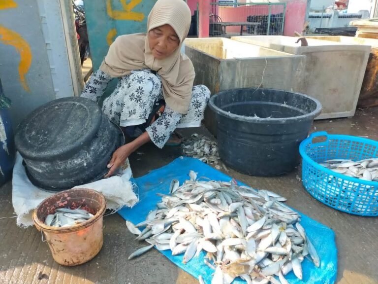 Sejahtera dari Jualan  Ikan Asin di PPI Morodemak
