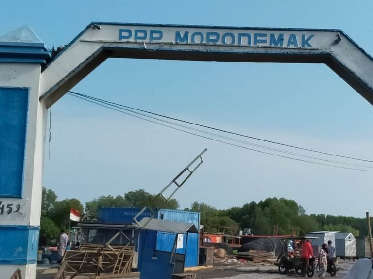 Bentuk Tim Monev, Tata Administrasi Pengelolaan PPI Morodemak