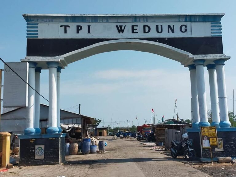Tempat Pelelangan Ikan Wedung Mudahkan Nelayan Bertransaksi  Hasil Laut