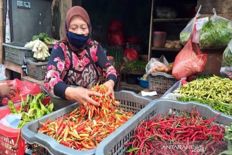 Pasokan Melimpah Harga Cabai di Solo Turun