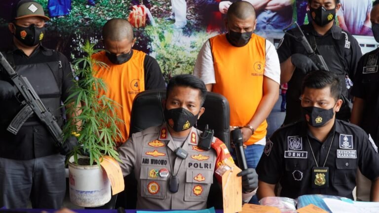 Ketagihan Sabu-Sabu, Pria di Kabupaten Semarang Tanam Ganja
