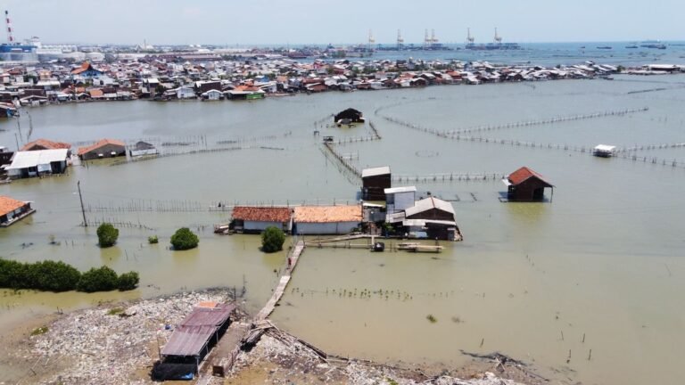 Penanganan Rob Demak, BNPB Upayakan Mitigasi Berbasis Ekosistem