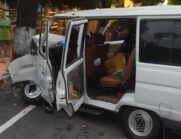 Sopir Diduga Ngantuk, Minibus Tabrak Pohon