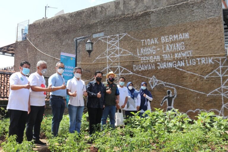 Optimalkan Halaman Masjid Jadi Lahan Pertanian Modern