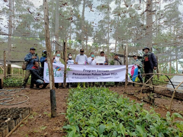 PLN Tanam 30.000 Bibit Pohon