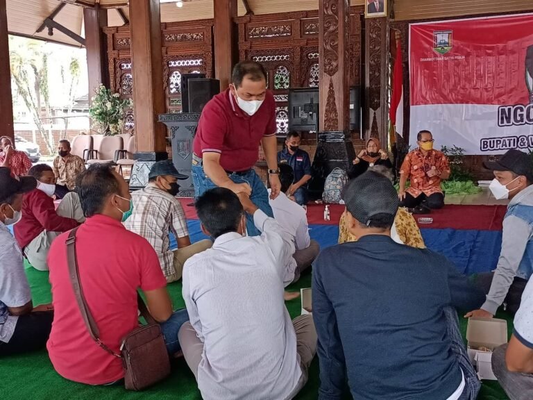 Bupati Semarang Ngopi Bareng Petani Porang: Perhatikan Mutu Panen