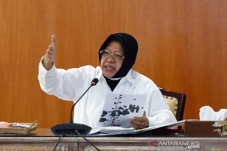 Mensos Risma Dukung Hukuman Kebiri Pemerkosa 12 Santriwati