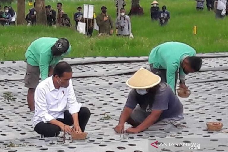 Tanggapi Curhat Petani Bawang di Temanggung, Presiden Jokowi Telepon Menteri Perdagangan