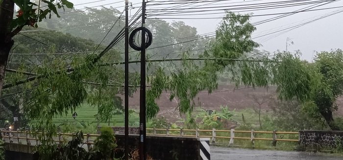 PLN Gerak Cepat Pulihkan Gangguan Listrik Akibat Cuaca di Wonogiri dan Jatisrono 