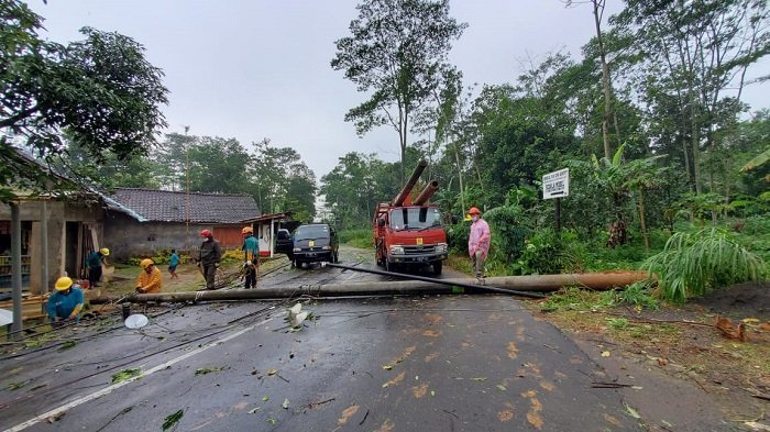PLN Respon Cepat Pulihkan Gangguan Listrik di Kabupaten Semarang