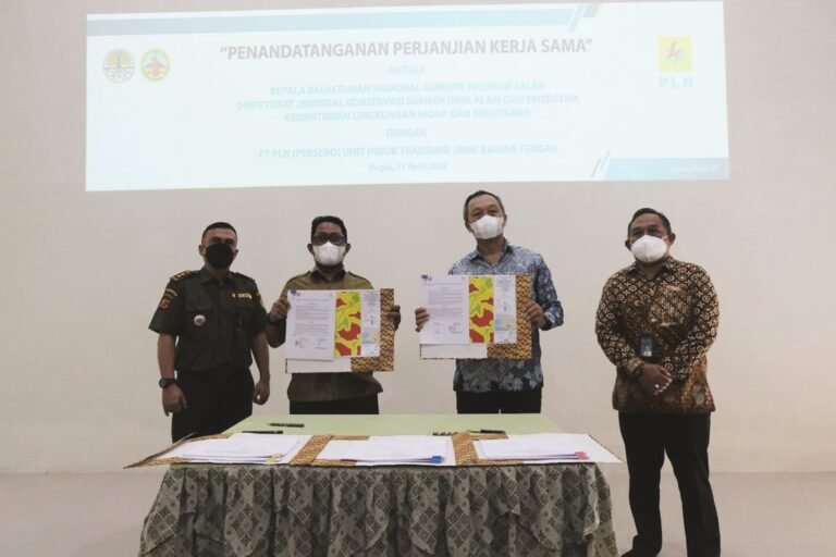 PLN Gandeng Balai TNGHS