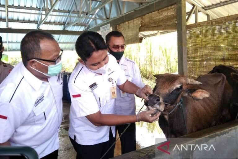Atasi Wabah Mulut dan Kuku Sapi, Pemprov Jateng Bentuk Unit Reaksi Cepat