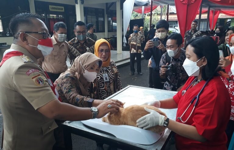 Seratus Kucing dan Anjing Divaksin Rabies