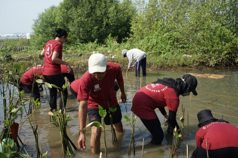 Aksi Tanam Seribu Mangrove Bersama Baja 88 Home Solution