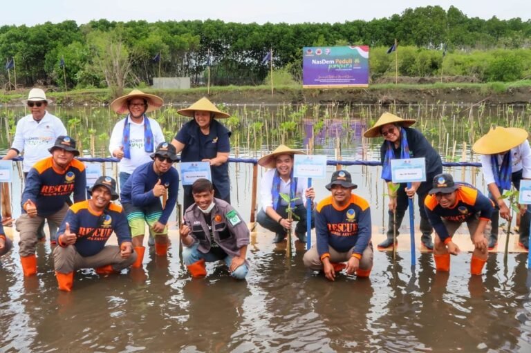 Nasdem Peduli Pantura Tanam Bibit Mangrove