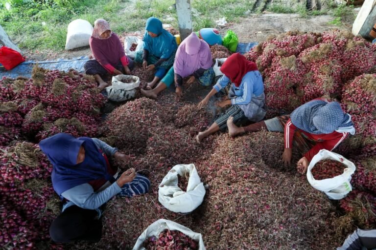Dalam Sebulan Inflasi Jateng Turun 0,69 Persen