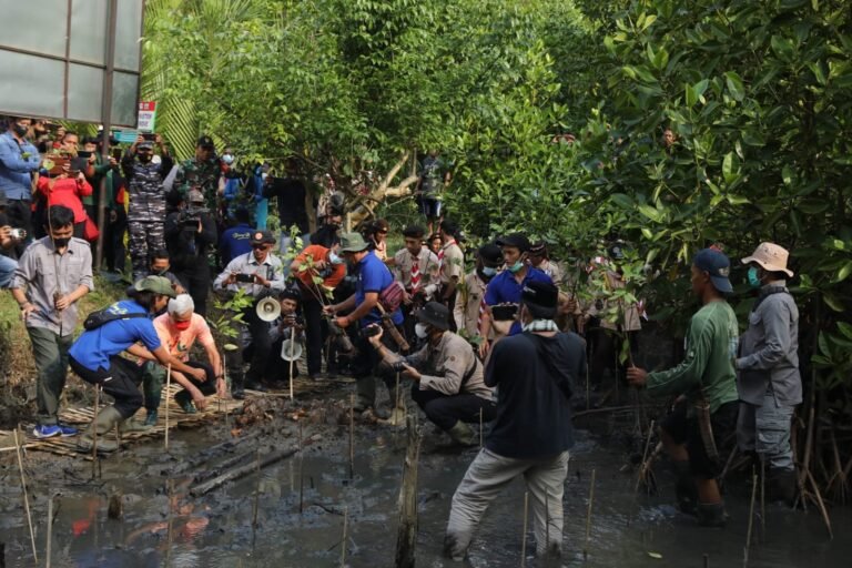 Ganjar Canangkan Ekowisata Mangrove Muara Kali Ijo Kebumen