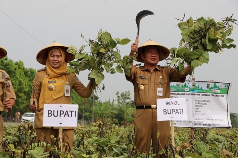 Farmers Field Day (FFD) Komoditas Kacang Hijau Di Desa Sarimulyo Kecamatan Kebonagung
