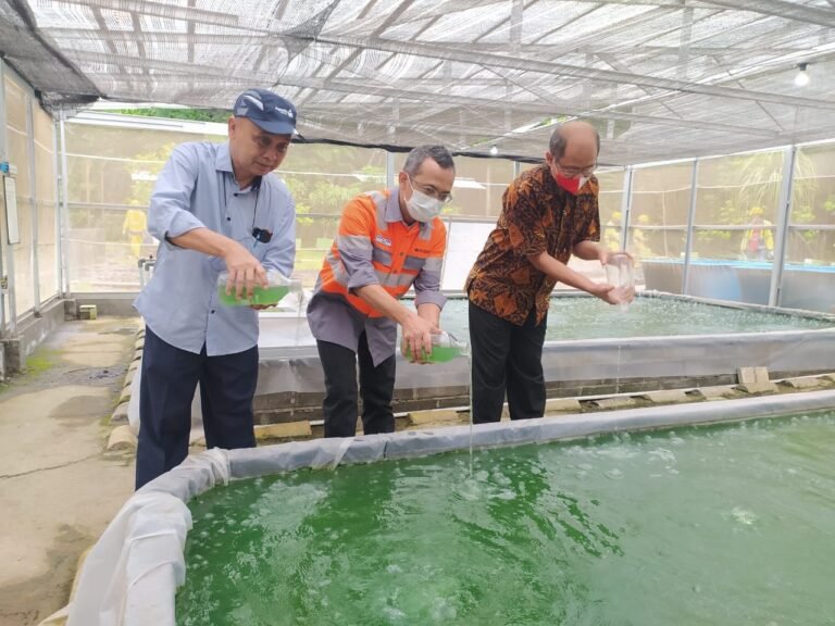 Solusi Bangun Indonesia Budidayakan Mikroalga