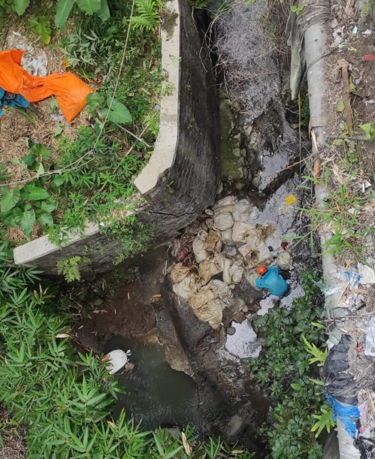 Ribuan Bangkai Ayam Dibuang di Sungai, Polisi  Buru Pelakunya