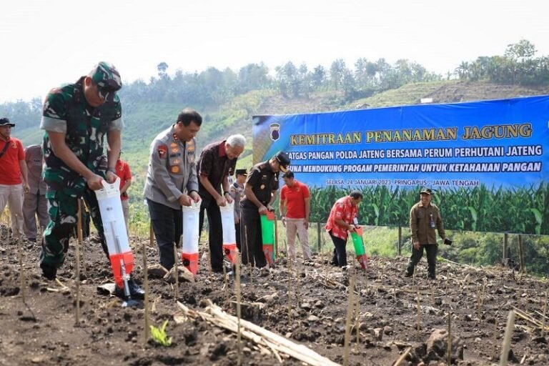 Pemanfaatan Hutan untuk Pertanian Harus Perhatikan Pohon Penahan Air