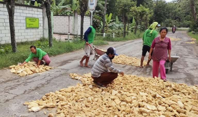 Rusak Parah Warga Uruk Jalan Berlubang
